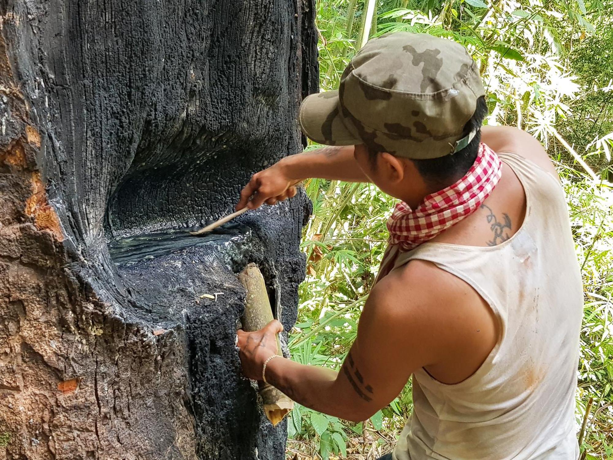 Ratanakiri Homestay & Jungle Trek Banlung Екстер'єр фото