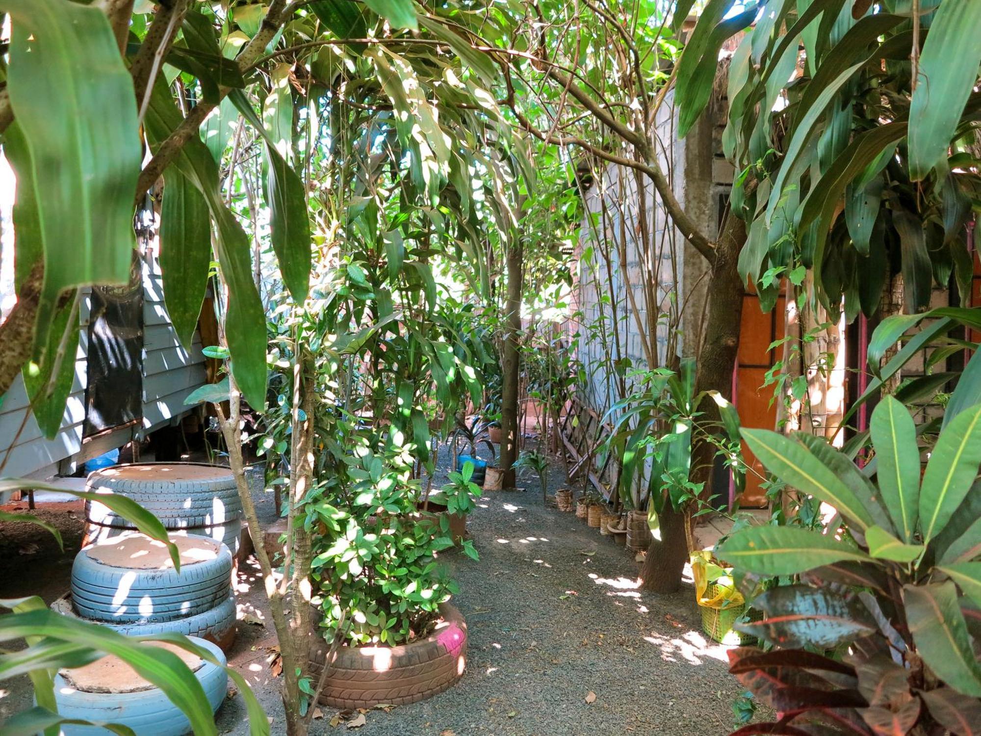 Ratanakiri Homestay & Jungle Trek Banlung Екстер'єр фото