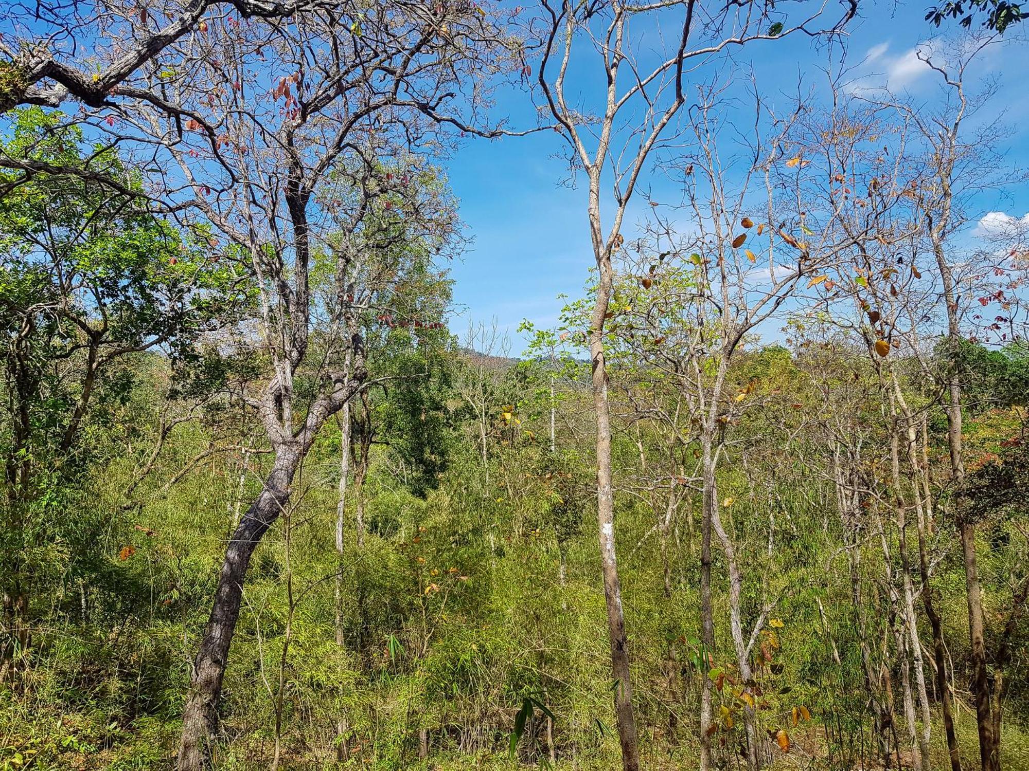 Ratanakiri Homestay & Jungle Trek Banlung Екстер'єр фото